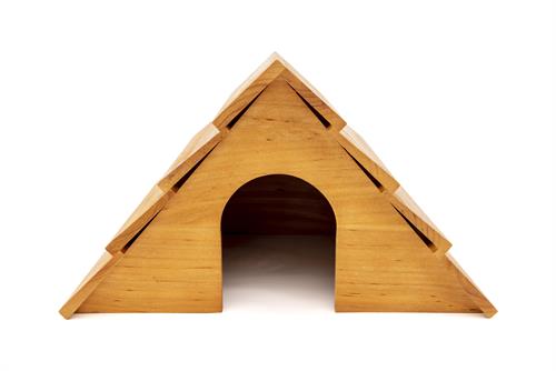 Hedgehog House