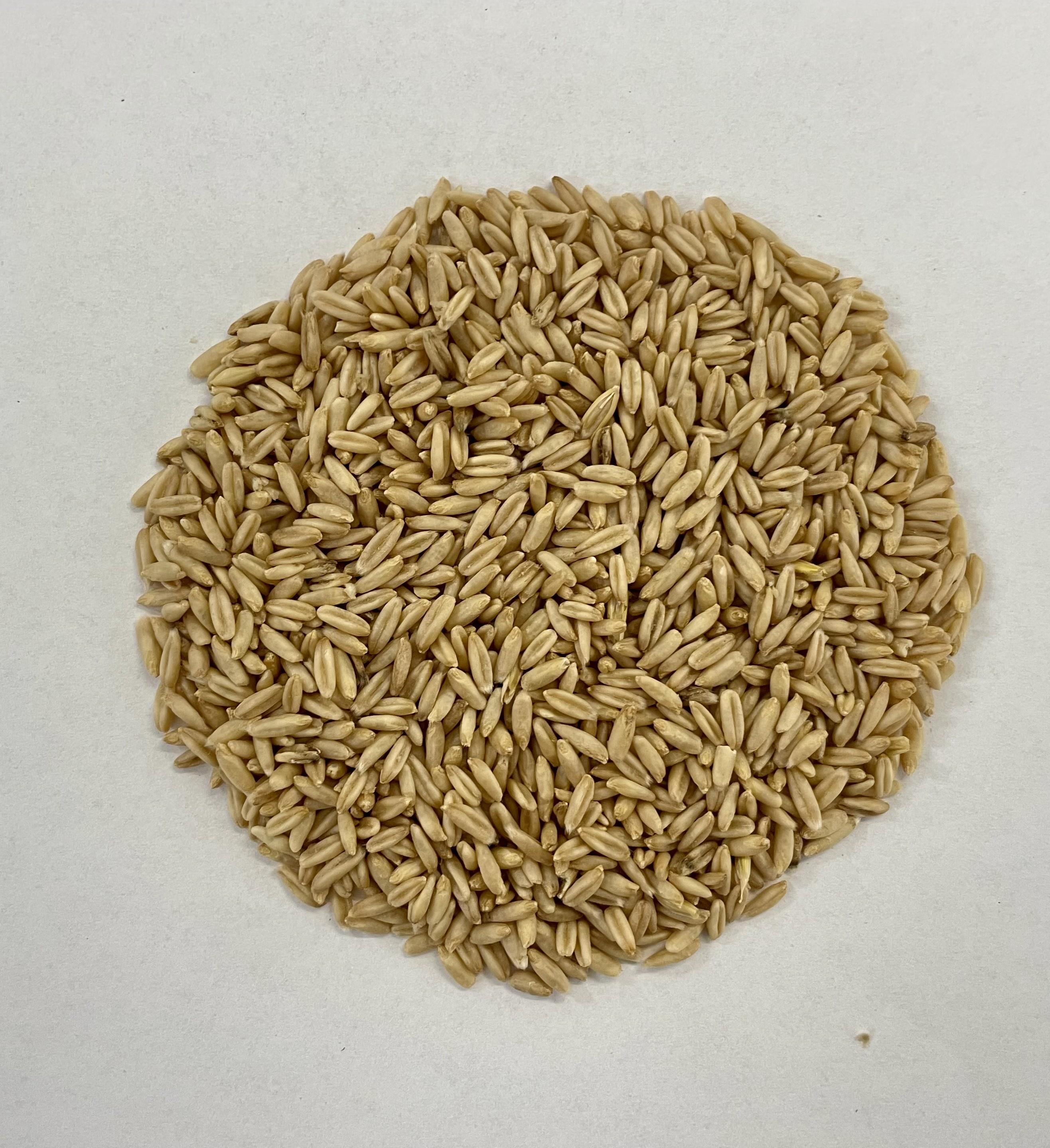 Whole Naked Oats
