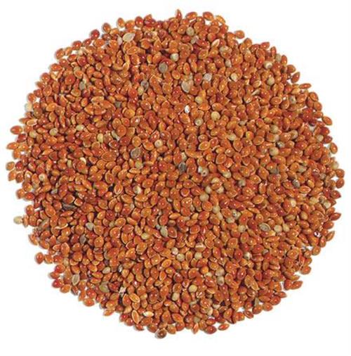 Red Millet