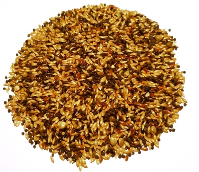  Premium British Finch Bird Food