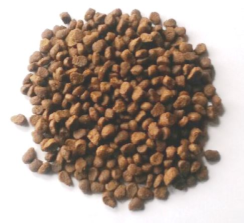 Hedgehog Food