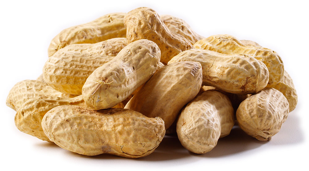 Peanuts In Shells