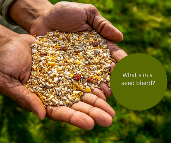 What's in a seed blend?